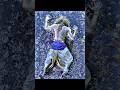 Angry Narasimha Gambhira Narsimha Shortvideo Viralshorts Narsimha