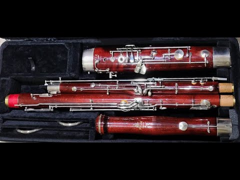 Polisi Bassoon - ALL NEW PADS - NEW PROTEC CASE image 14