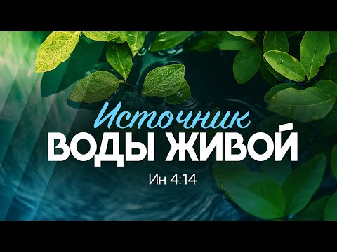 Источник воды живой | Ин. 4:14 || Алексей Коломийцев