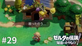 ゼルダの伝説 知恵のかりもの #29【がんばれクロウリー】