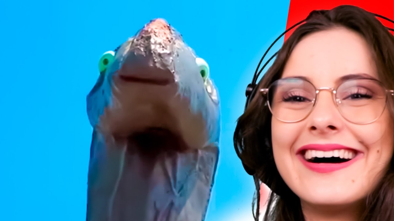 Super DESAFIO do TENTE NÃO RIR