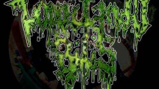 VOMITANDO BILIS - "Exquisite Eschatology (Haemorrhage Cover)"