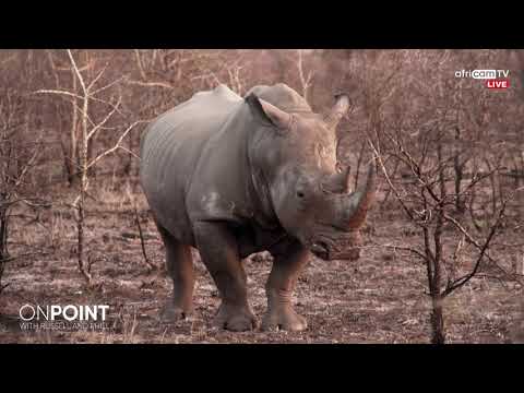 On Point Episode 11 - Anti-poaching - The Black Mambas