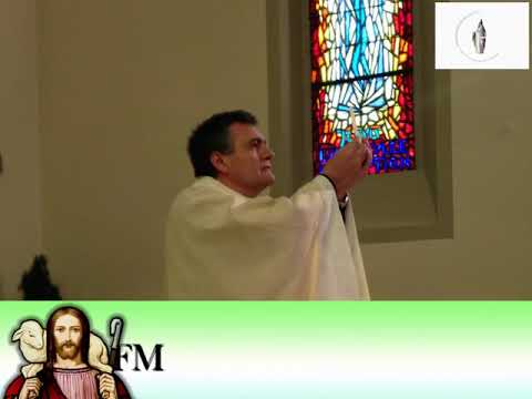 Homilía. San Francisco de Asís 04/10/18 P. Santiago Martín, FM