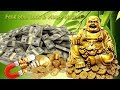 Feng Shui It Brings Financial Prosperity Success And Luck Money Magnet Listen 10 Minutes A Day