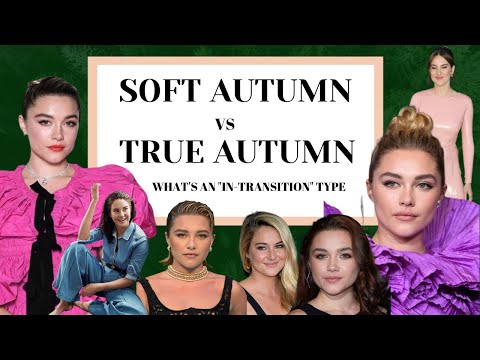 SOFT AUTUMN VS TRUE AUTUMN: IN-TRANSITION TYPE?