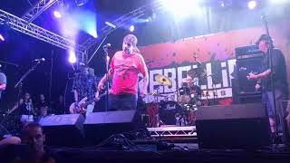 MDC &quot;Shades of Brown&quot; live 2018