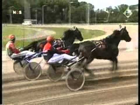 Gouden Zweep 2006 -Passing Renka