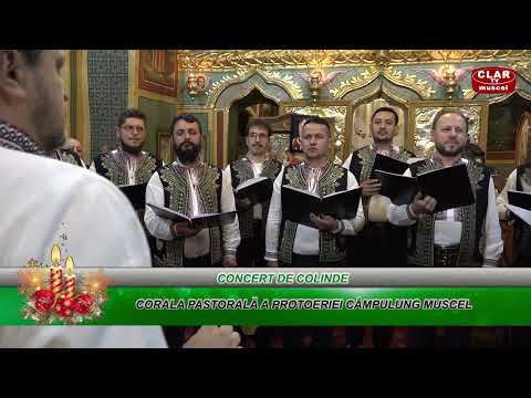 Concert de colinde la Biserica Visoi