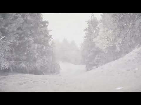 4 Hours of Howling Winds and Blizzard Sounds for Sleep, Study and Relaxation