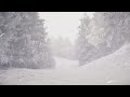 4 Hours Of Howling Winds And Blizzard Sounds For Sleep Study And Relaxation