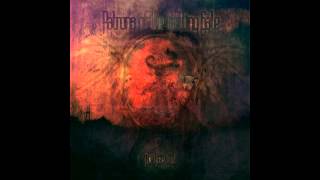 Patrons of the Rotting Gate - A Perfect Suicide