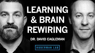 Science & Tools of Learning & Memory | Dr. David Eagleman