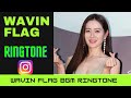 KNAAN WAVIN FLAG BGM BACKGROUND MUSIC RINGTONE