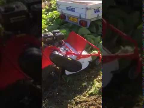 Schlegelmulcher handgeführt 60cm selbstfahrend SG0812A