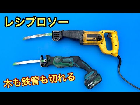 レジス・メサックについて詳しく解説