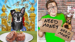 Rich vs Broke Pet Owners