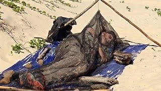 Bivouac on the Beach with Only a Tarp and Bug Screen