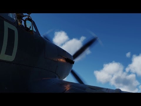 [DCS] Spitfire Spitting.......Fire.