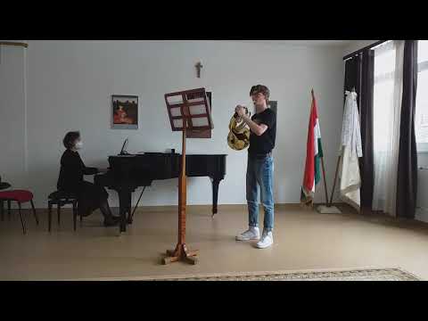 Hantos Gyula videója