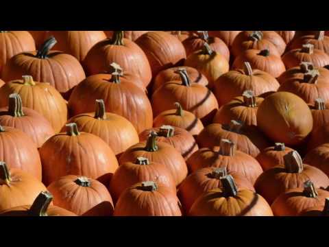 MEgional 2016 09 22 - Unsere Nachrichten für das Mittlere Erzgebirge