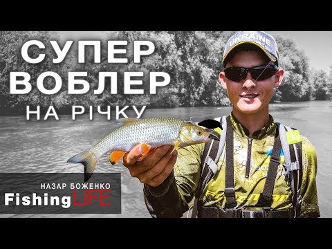 Річка Дністер: куди їхати за рибою на Львівщині