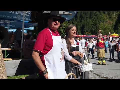 Almabtrieb Wildschönau 2025