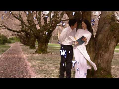 Một trời hoa mộng Sheet - Nguyễn Cường