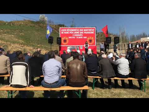 20 vjet nga masakra serbe në Brestoc të Rahovecit (Permbledhje 20/03/2019)