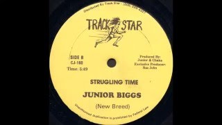 Junior Biggs - Struggling Time