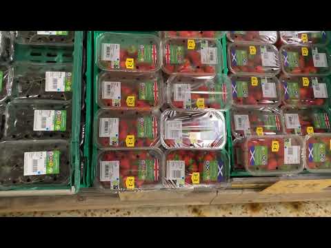 UK York to Newcastle