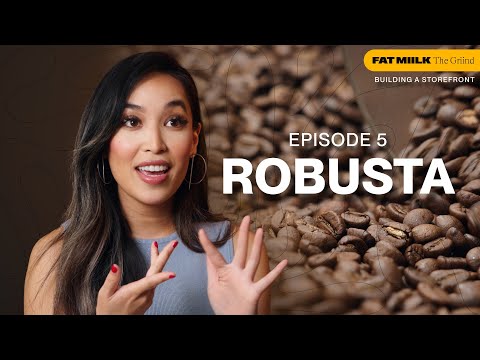 Leading the Robusta Revolution | Building a Storefront