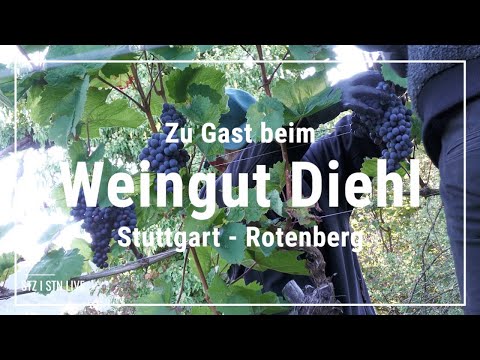 2. Online-Weinprobe Weingut Diehl