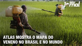 Miniatura do vídeo