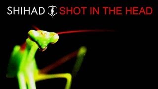 Shihad - Shot In The Head - Drum Cover