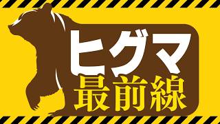 ヒグマ最前線