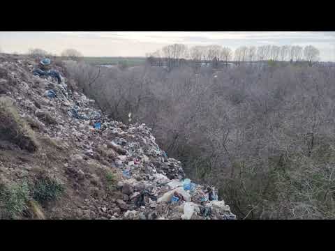 Dezastrul de mediu de la Harsova