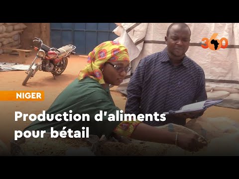 , title : 'Niger: Nafissa, la femme qui a révolutionné la production d’aliments pour bétail'