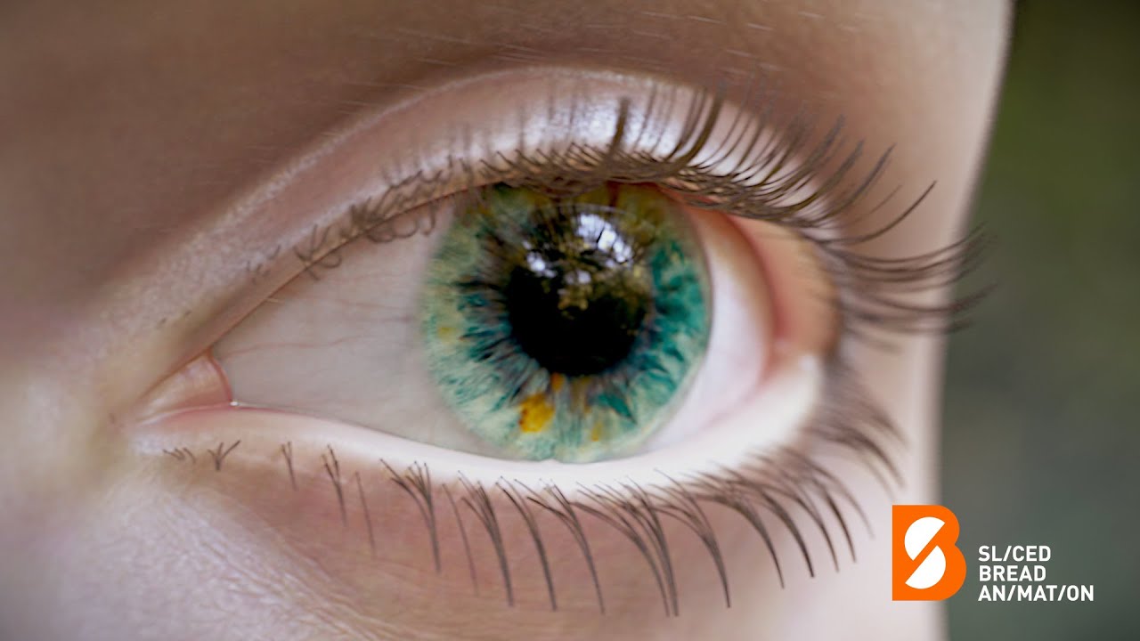 Sliced Bread Animation London - Studio Showreel 2020