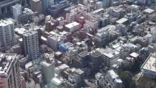 preview picture of video 'Shiba Tokyo (Feb, 2013)'