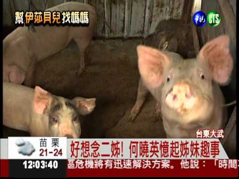 等不及! 何曉英籌錢買機票要赴美