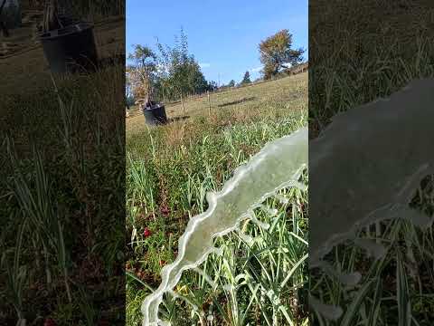 +381 65 430 9327 Ispiranje bunara kod Danka Bahora Trubine