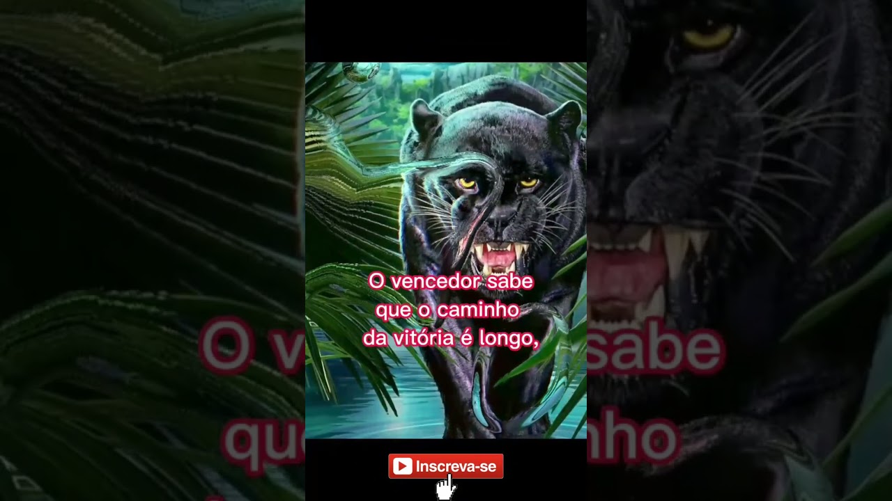 O vencedor sabe  o caminho! #mensagem #motivacional #reflexão #youtubeshorts