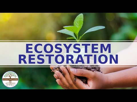 Ecosystem Restoration - Enviromental Science Explainer Video