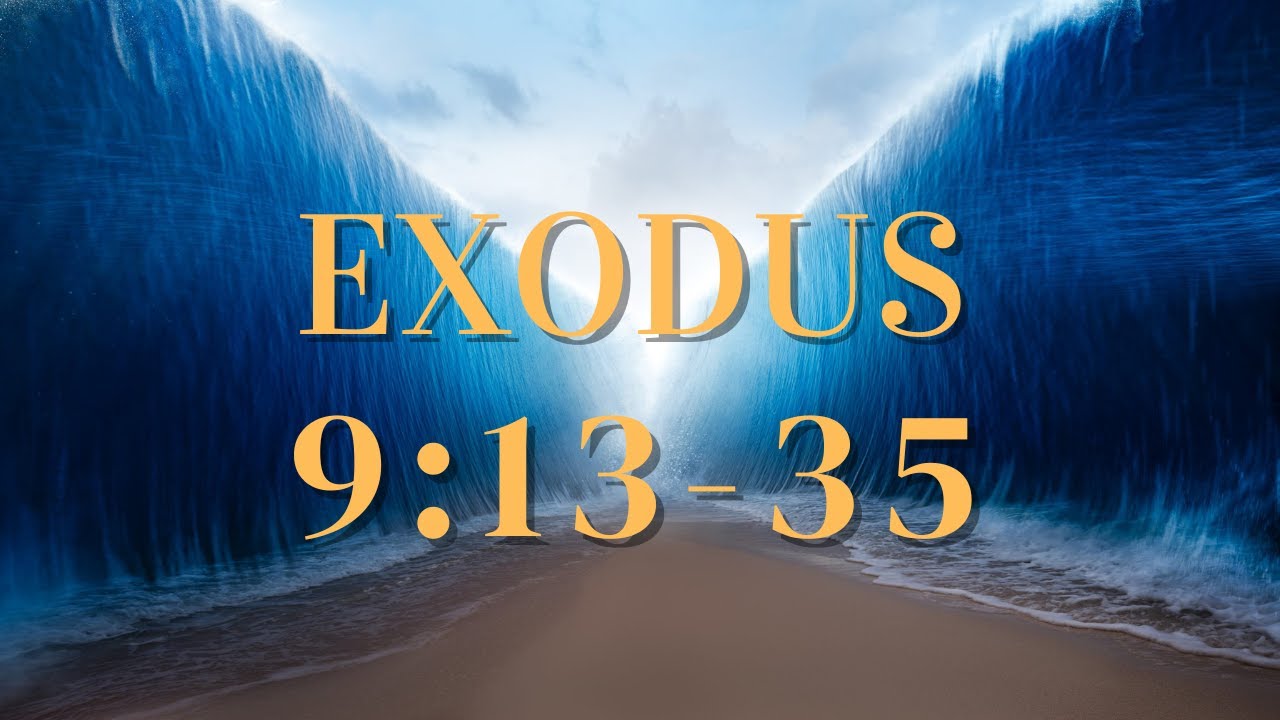 11/20/22 (Exod 9:13-35) The Fear of the LORD