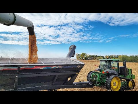 Corn Harvest 2022!
