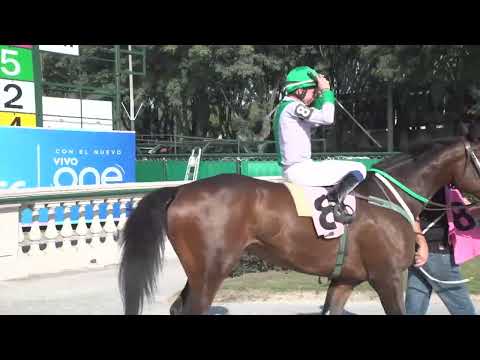 230603 c01 - ARIS - HIPODROMO DE MAROÑAS