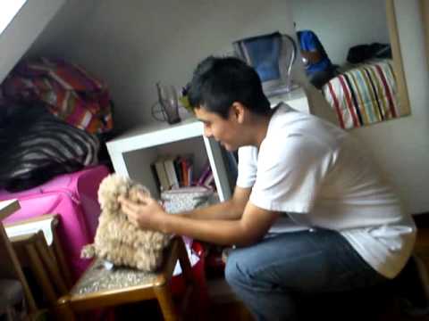 declaracion de kirstian  a la osa