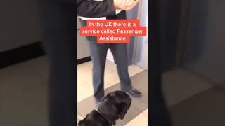 How Does A Blind Person Catch A Train? #Shorts