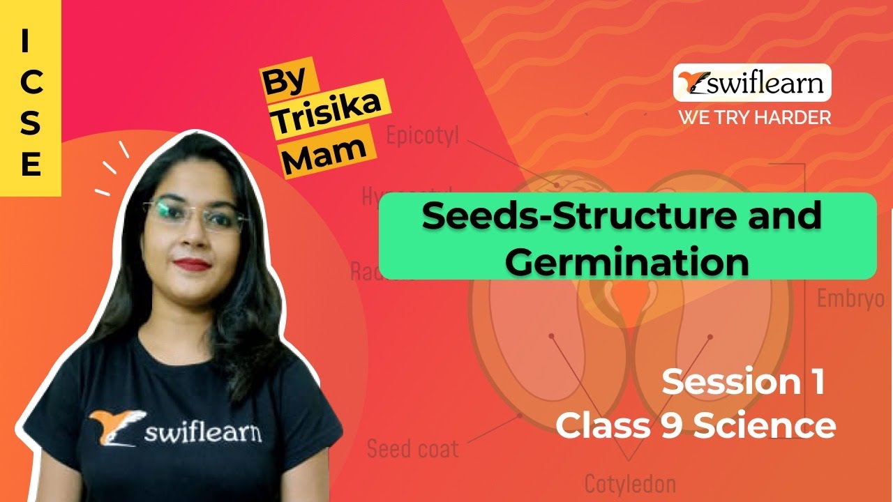 Seeds-Structure and Germination | ICSE Class 9 | Biology Online Class | Session 3 - Swiflearn